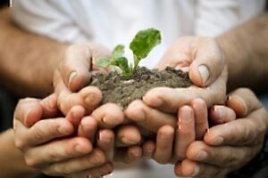 six hands holding a small plant and dirt