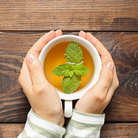 A person is holding a mug of coffee and mint.